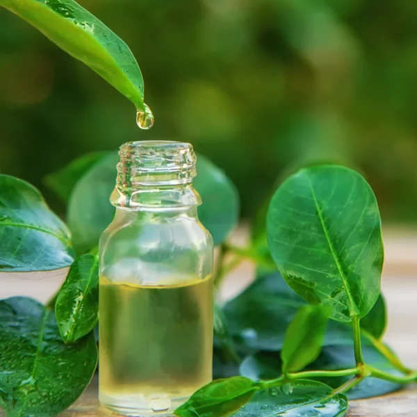 Ayurvedic Medicines - Image 3